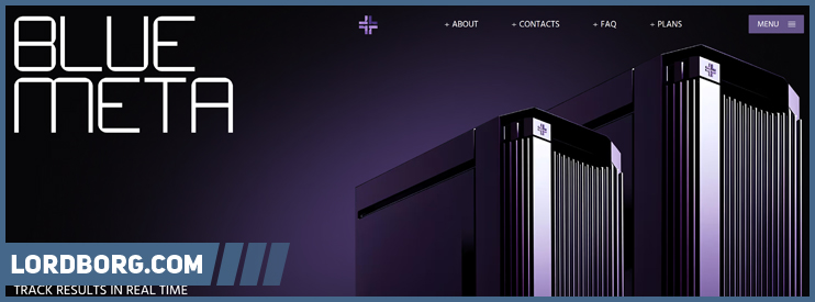 HYIP bluemeta.cc — Обзор и отзывы